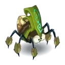 Korriandre