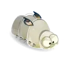 Shin Larve