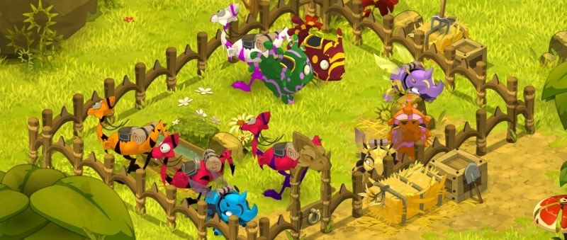 Les 3 types de montures Dofus